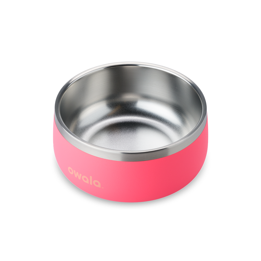 Pet Bowl Hyper Flamingo