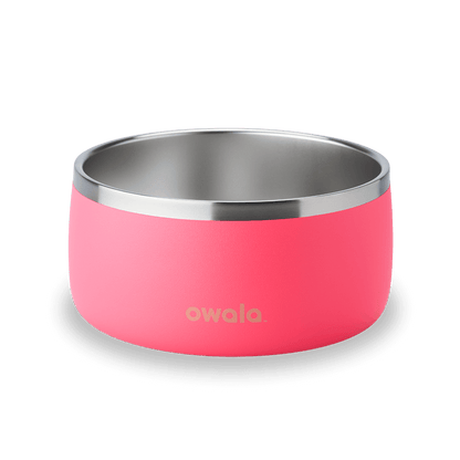 Pet Bowl Hyper Flamingo